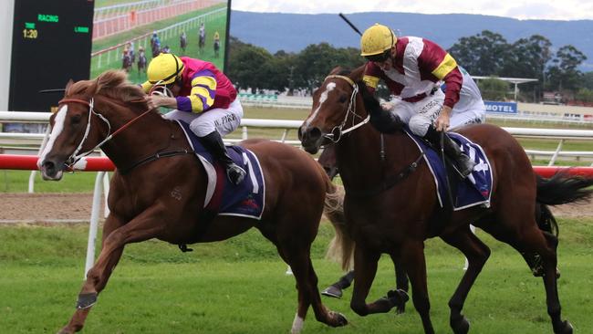Mr Mozart looks hard to beat in the Silver Eagle. Picture: Grant Guy
