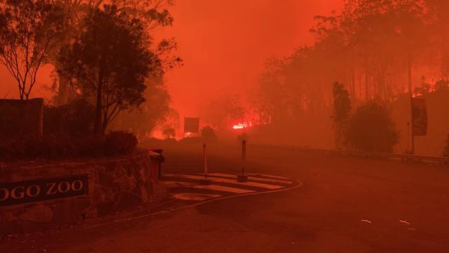 Fire approaches the entrance to Mogo Zoo. Picture: Chad Staples