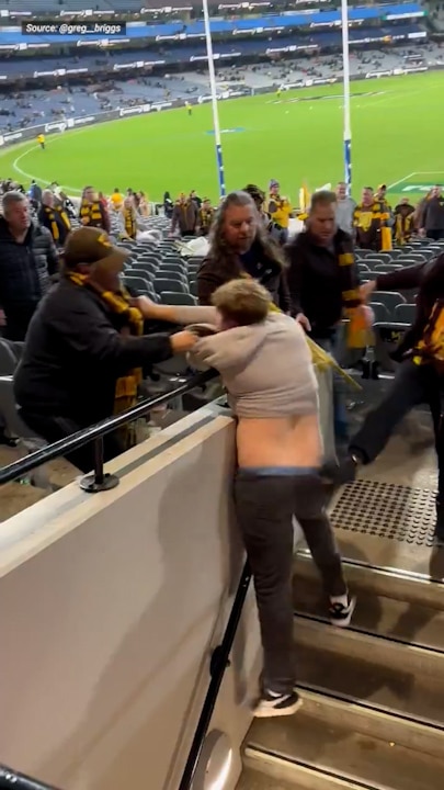 Footy fans brawl at Pies Hawks MCG clash
