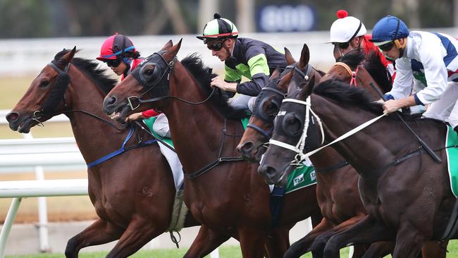 The field get away at the start of the 2200m race 2 during mid week racing at Warwick Farm. Winner No. 3 Thewayweare ridden by Blake Shinn. (green and black). Picture. Phil Hillyard