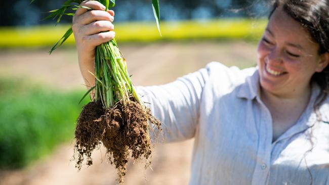 Loam Bio co-founder Tegan Nock with a trial of wheat plants. Picture: Supplied