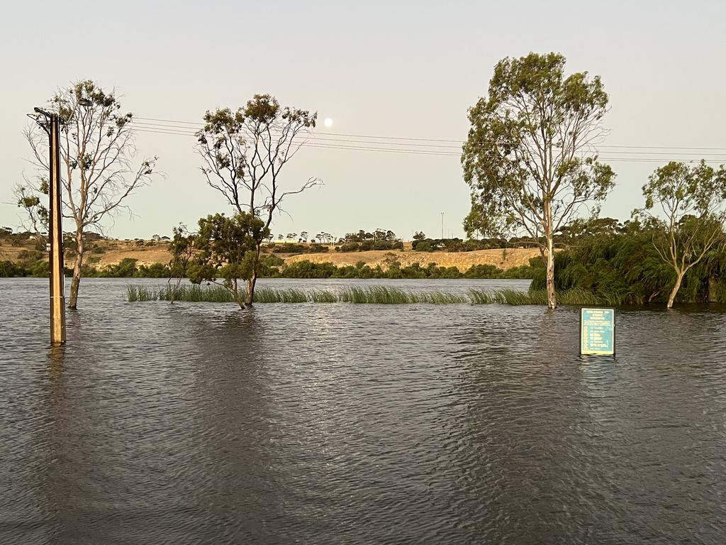 Murray Bridge, Sturt Reserve. Picture: Jo Schulz