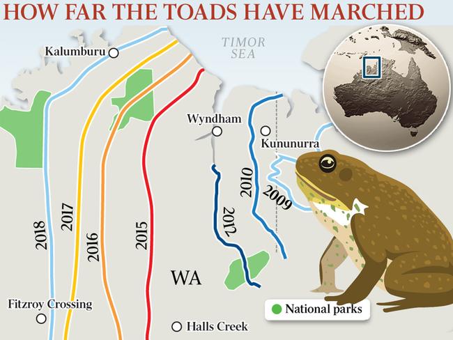 How far the toads have marched.