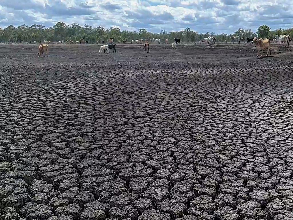 Australia is struggling through a severe drought.