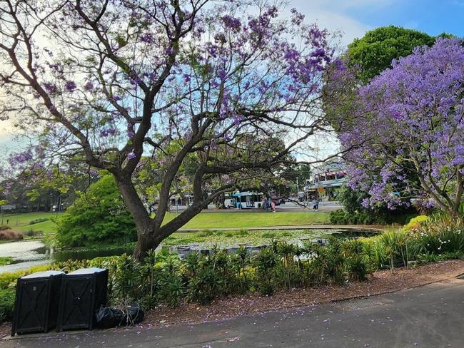 Victoria Park in Sydney. Picture: Supplied