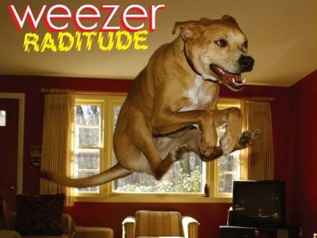 10. Raditude – Owner Jason Neely captured our favourite action cover when his rescue dog Sidney (“I have never seen a dog with as much energy!” said Neely) was around two years old. He submitted it to National Geographic shortly thereafter and Weezer’s manager thought it would make a great cover. Correct.