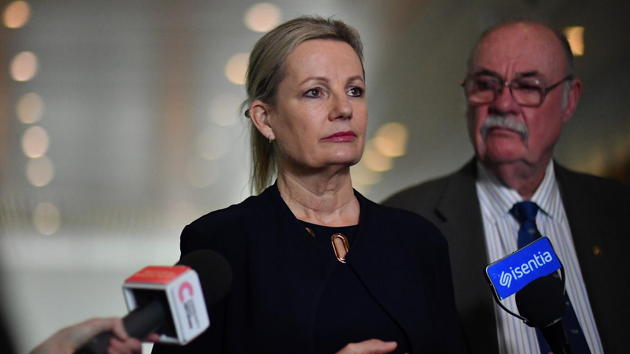 Environment Minister Sussan Ley. Picture: Sam Mooy/Getty Images