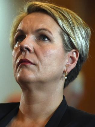 Opposition education spokeswoman Tanya Plibersek say Prof Hattie’s approach is ‘fantastic’.