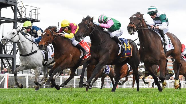 Positivity (NZ) ridden by Harry Coffey wins the Catanach's Jewellers MRC Foundation Cup at Caulfield Racecourse on September 21, 2024 in Caulfield, Australia. (Photo by Reg Ryan/Racing Photos via Getty Images)