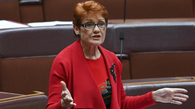 Senator Pauline Hanson has said Mr Latham’s commented are “disgusting”. Picture: NCA NewsWire / Martin Ollman