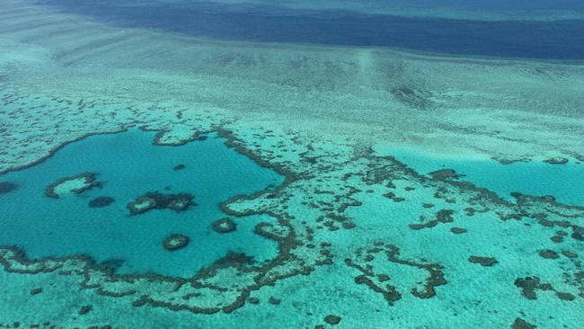 (An aerial view of the Great Barrier Reef . (Photo by SARAH LAI / AFP)