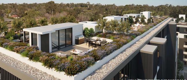 A series of private rooftop spaces are also proposed. 