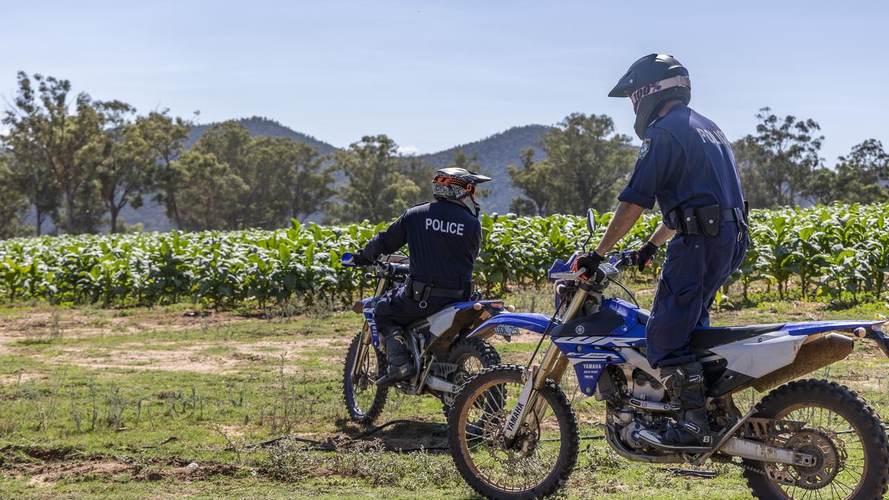 The illegal tobacco crop was found on a property in Murga, 55km east of Parkes. Picture: NSW Police