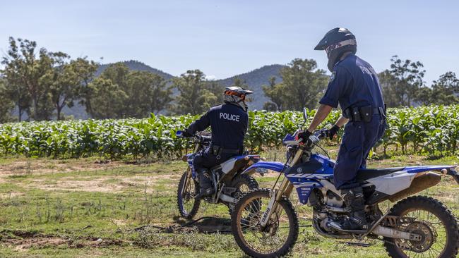 The illegal tobacco crop was found on a property in Murga, 55km east of Parkes. Picture: NSW Police