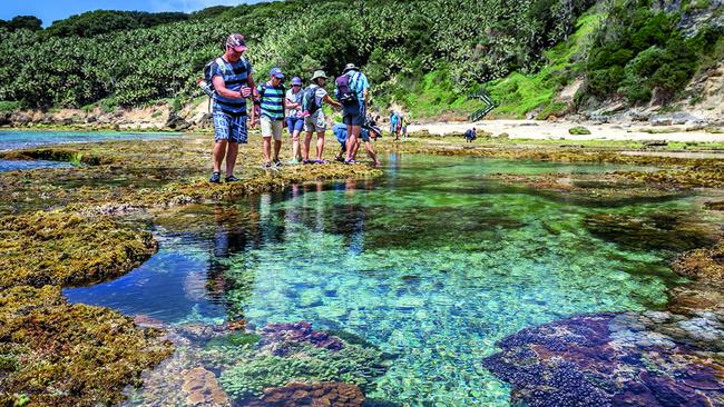 Many fear tourists will be discouraged from visiting the island. Picture: Luke Bowden