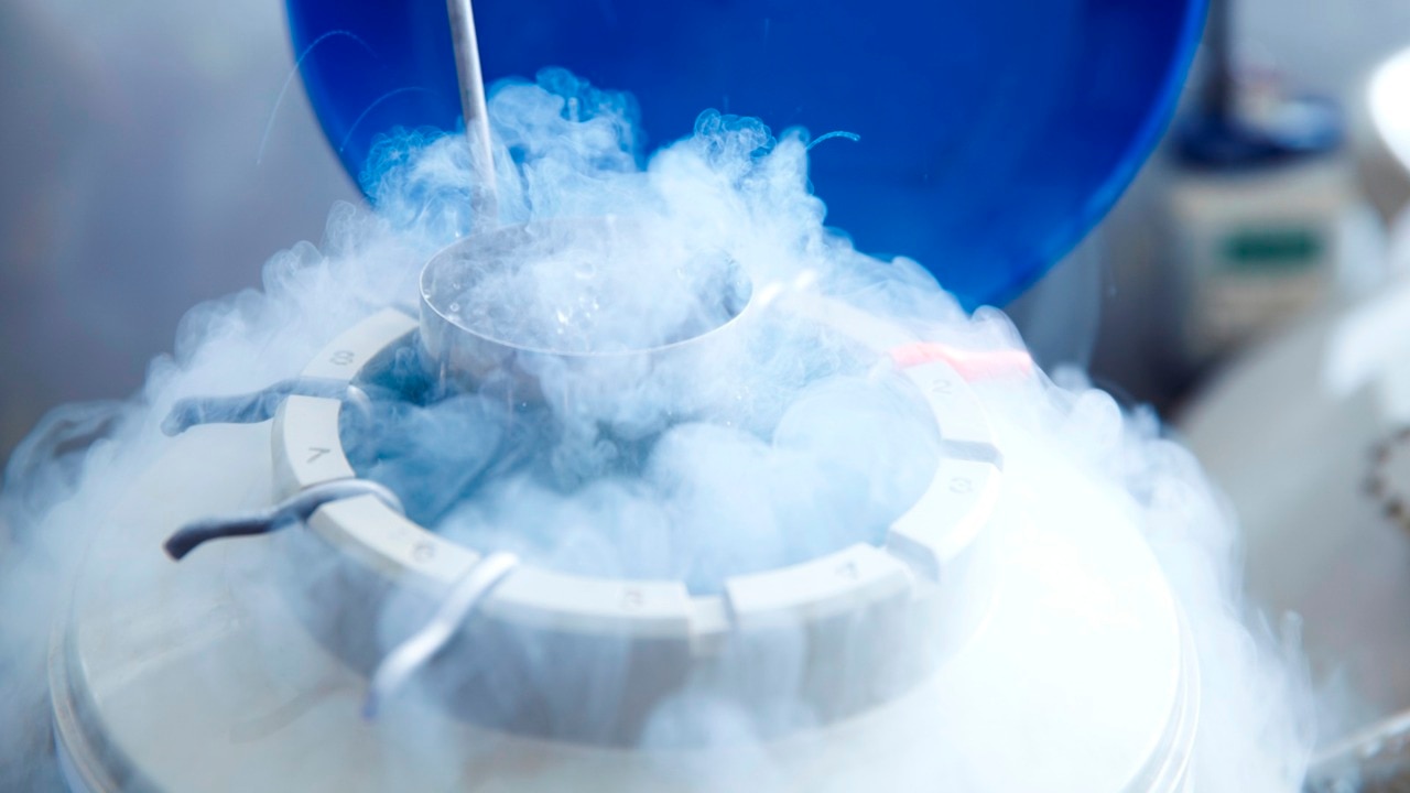 'Generation Eggs': Experts warn of 'social egg freezing' risks