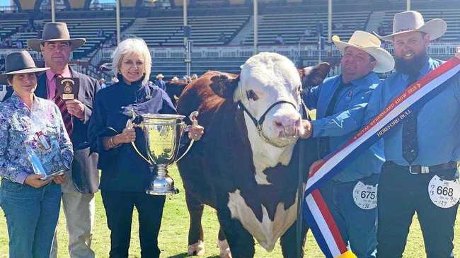 CHAMP: The Ekka Grand Champion Hereford Bull, Advance N142 with Isaac Billiau and Tom Nixon (end right) from Devon Court Beef, Drillham. Picture: Contributed