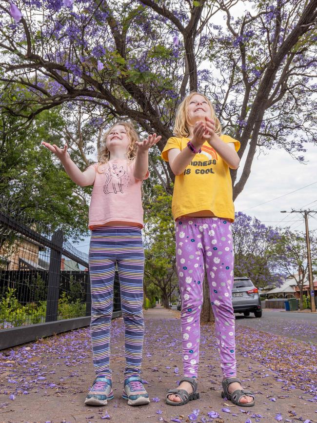 Unley locals Emilia, 7, and Penny, 9, love when the purple Jacaranda flowers bloom on their street. Picture: Ben Clark