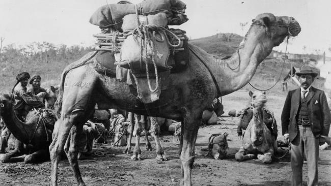 Abdul Wade, right, was hailed as a hero for bringing supplies by camel train to remote Outback settlements. Picture: State Library of Queensland