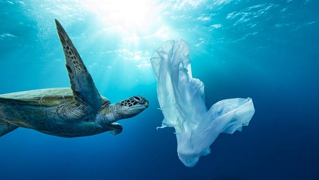 Great Barrier Reef becomes plastic pollution dumping ground | Photos ...