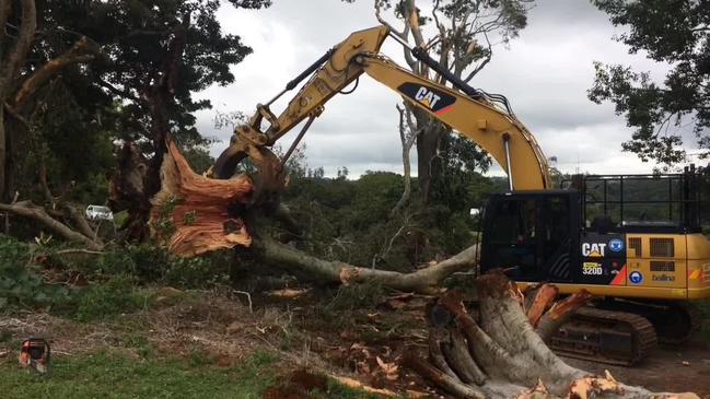 Excavator v 70 tonne tree