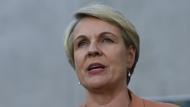 Tanya Plibersek said she thought disclosing flight costs was “the right thing to do”. Picture: NCA NewsWire/Martin Ollman