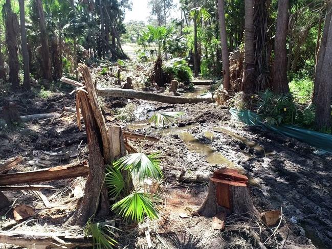 A picture of the wetlands destroyed to make way for a sewer line. Picture John Illingsworth.