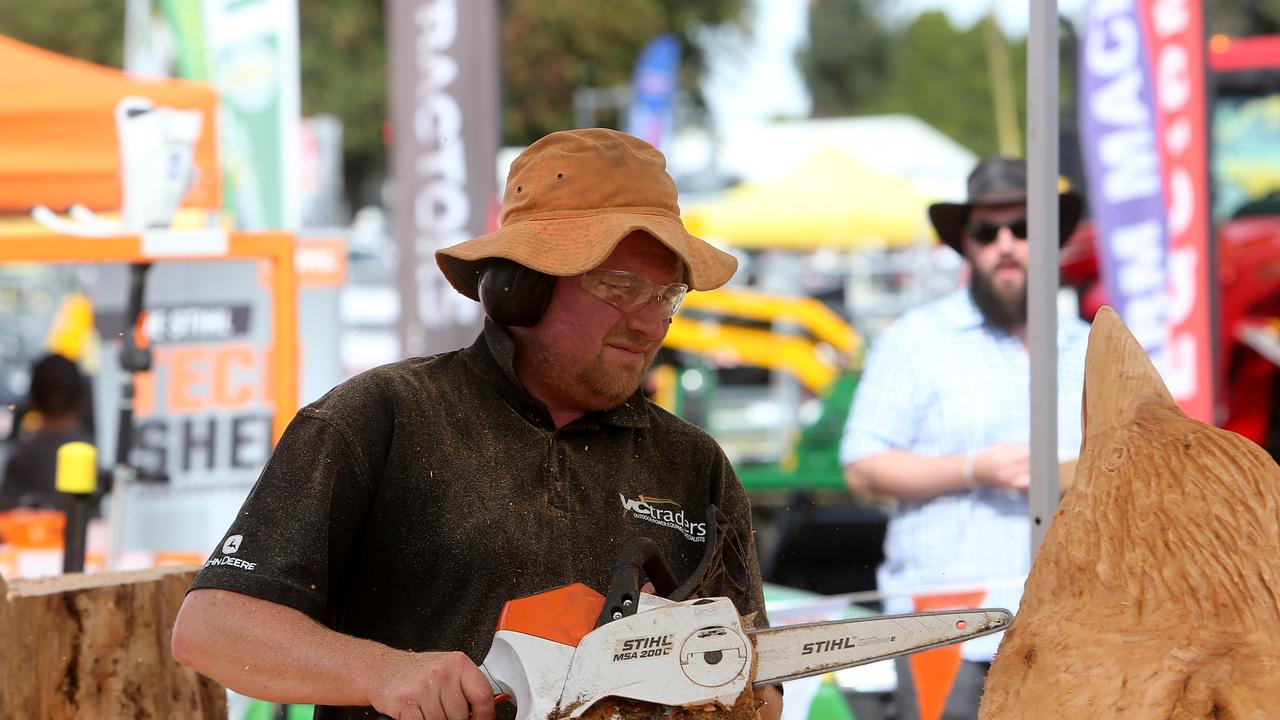 Chainsaw carving in action at Farm World. Picture Yuri Kouzmin