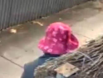 Adelaide’s “Driveway Defecator” strikes again at Norwood – security footage captures the bizarre act