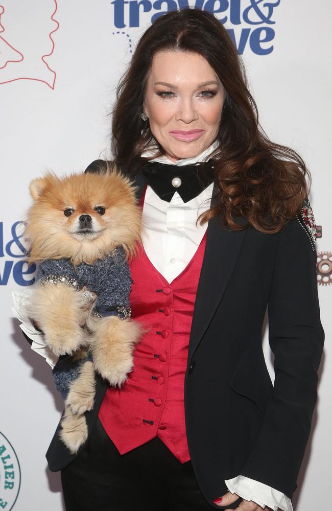 More dogs on the red carpet, please. Picture: Faye`s Vision/Cover Images/INSTARimages.com