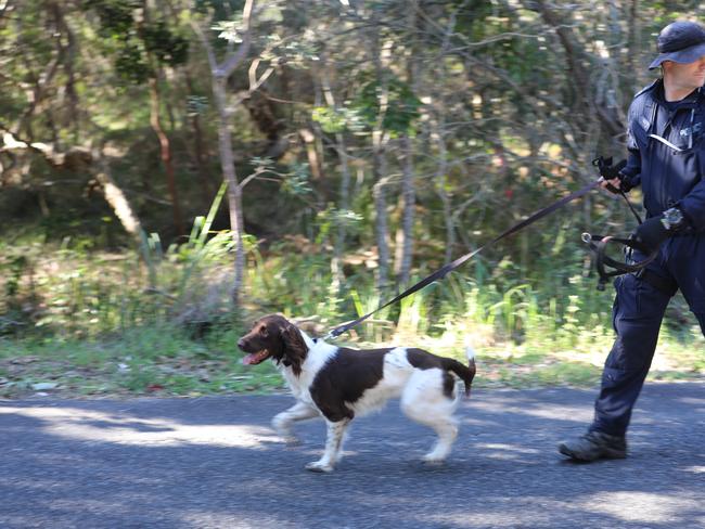 The dog squad was involved in an extensive search of bushland in Arakwal National Park in Byron Bay on Wednesday, July 15, 2020 as part of the investigation into the disappearance of Thea Liddle.