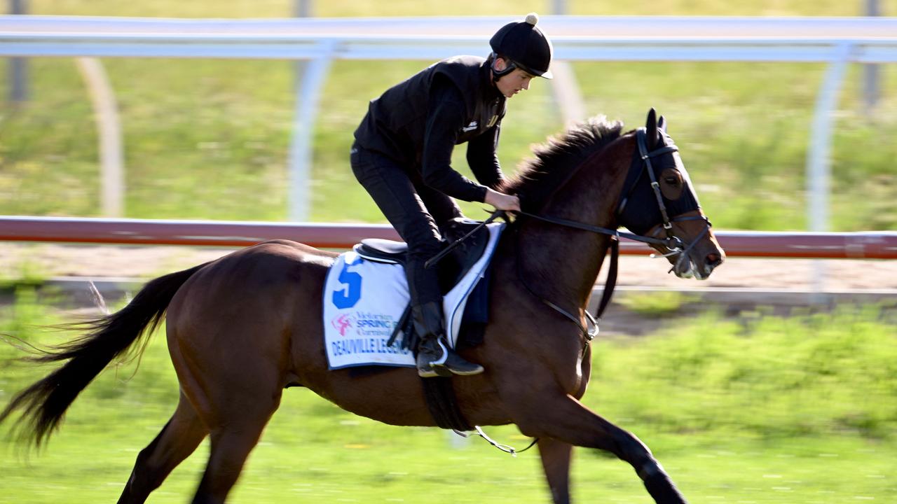 Deauville Legend is the clear favourite. Photo by William WEST / AFP-