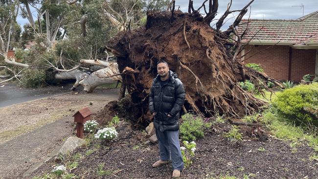 Resident Yahya Basman stands in front of a large tree blocking Glen St, Burnside. Picture: Evangeline Polymeneas