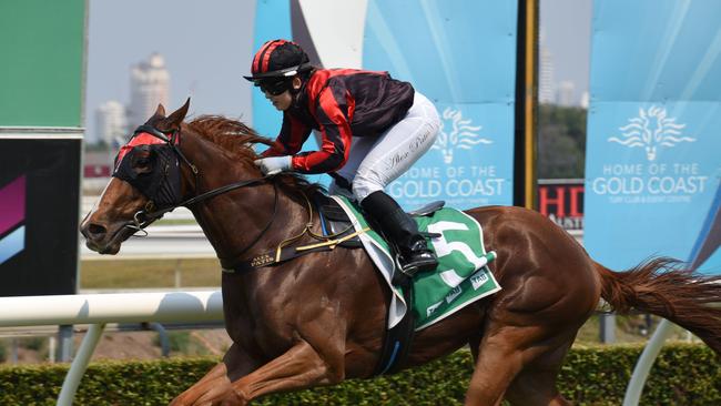 Class Of Royalty riden by Alex Patis at the Gold Coast Turf Club. (Photo/Steve Holland)