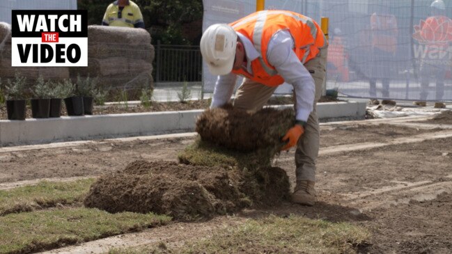 Parramatta light rail lays first green track (1)