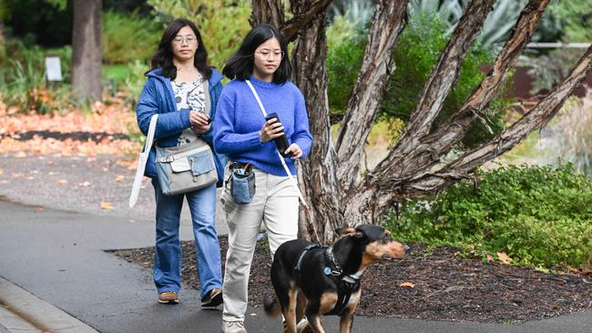Million Paws Walk at Adelaide Botanic Gardens. Picture: Brenton Edwards