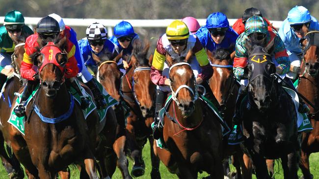 Racing in New South Wales on Friday is at Goulburn and Inverell.