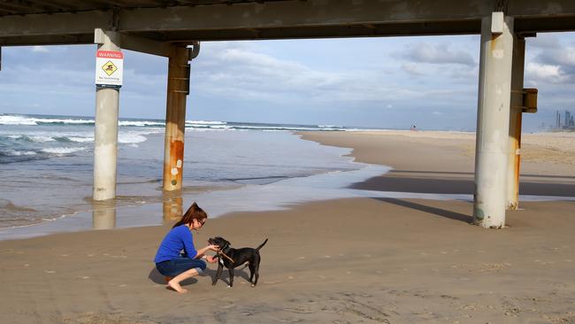 City off Gold Coast dog patrol officers have been cracking down on owners and their dogs off leash in On Leash only areas. Photo: David Clark