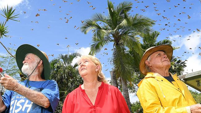 Alice River residents Barry Turville, Helen Townsend and Tony Townsend pictured in one of the back yards which has been infested by flying foxes. Picture: Shae Beplate.