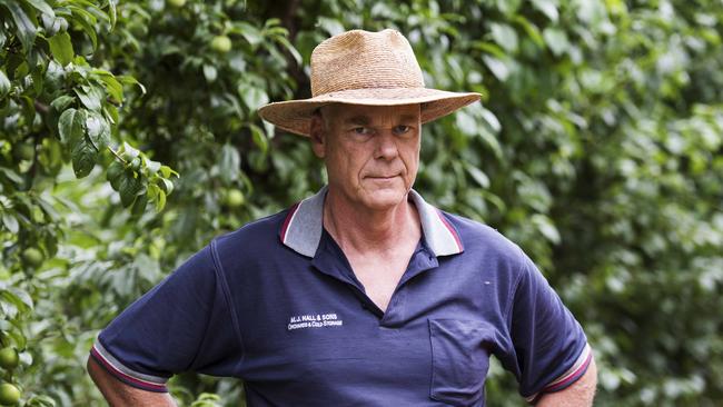 Orchardist Peter Hall. Picture: Dannika Bonser