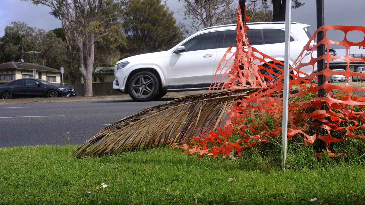 A palm frond lays atop the roadside tomb. Picture: Shaun Viljoen