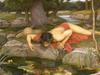 An artwork of Narcissus from Greek mythology