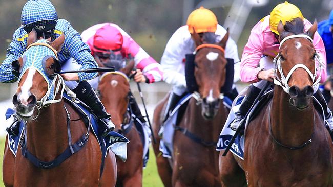 Just Dreaming, left, will be chasing her third straight win on Saturday. Picture: Jenny Evans