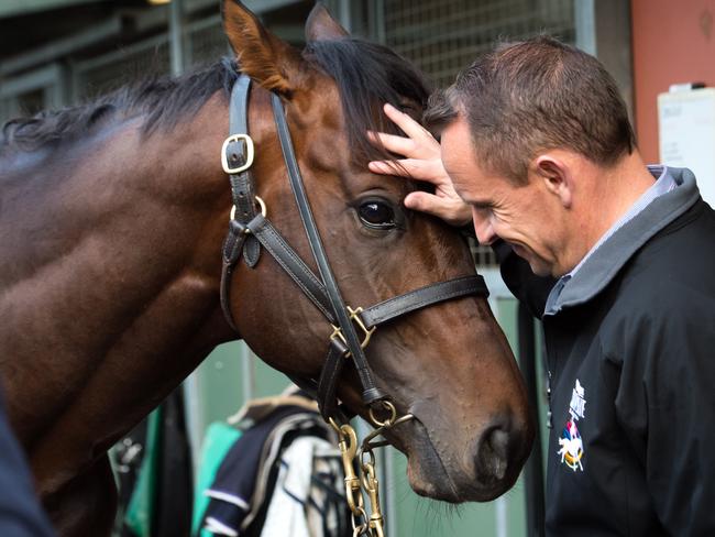 Chris Waller and Kermadec during one of his visits to Melbourne. Picture: Jay Town