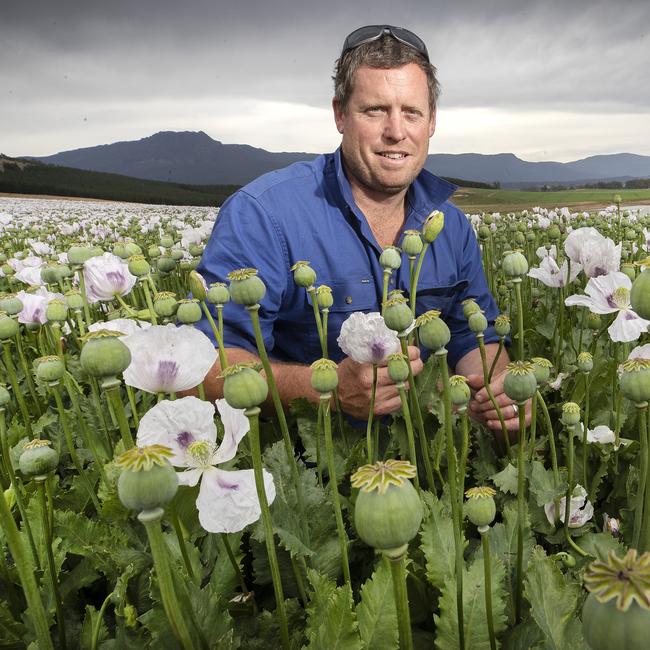 Tom Green of Cressy, Tasmania. Picture: Chris Kidd