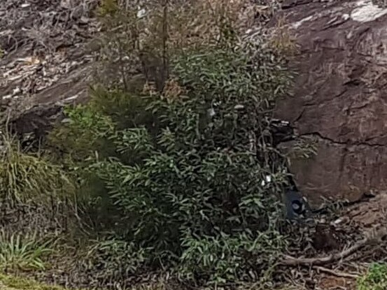 Someone has since chopped down the tree the police officer was hiding behind. Picture: Supplied