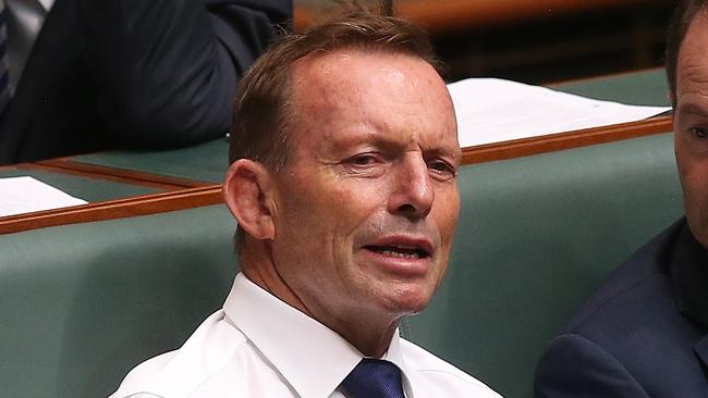 Tony Abbott has weighed in on the debacle. File photo