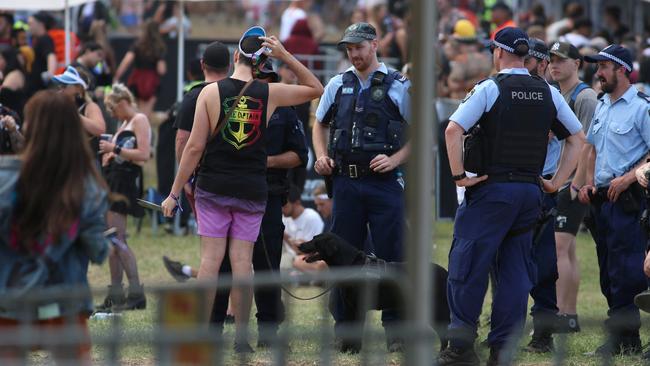 Police with sniffer dogs inside a music festival. Picture: Damian Shaw