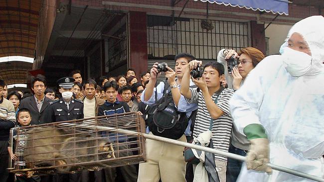 A Chinese health worker confiscates a civet in Guangzhou in 2004. Picture: AFP