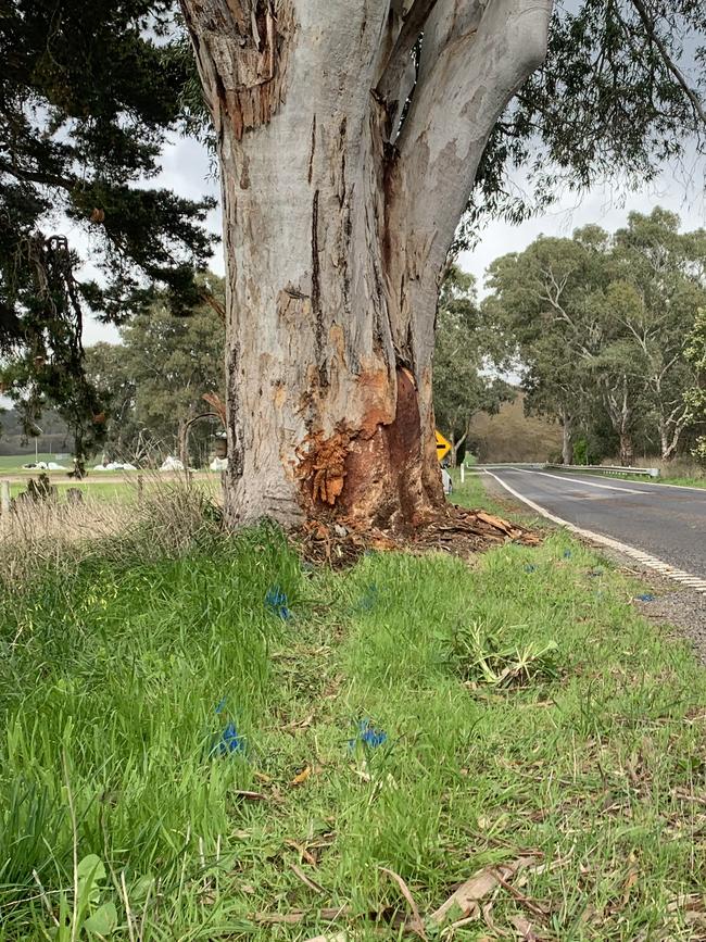 A man has died after his car hit a tree at Myponga. Picture: Supplied